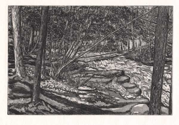 The Stream in the Woods" etching.