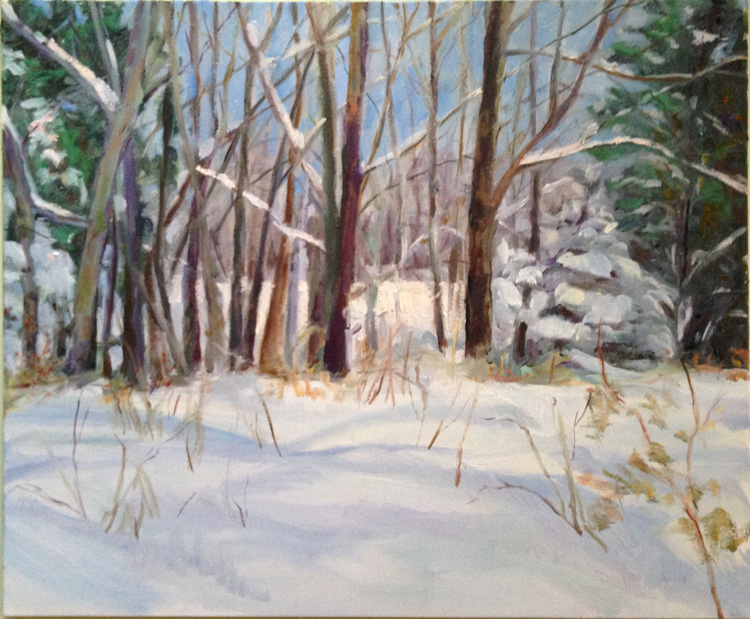 Winter Woods